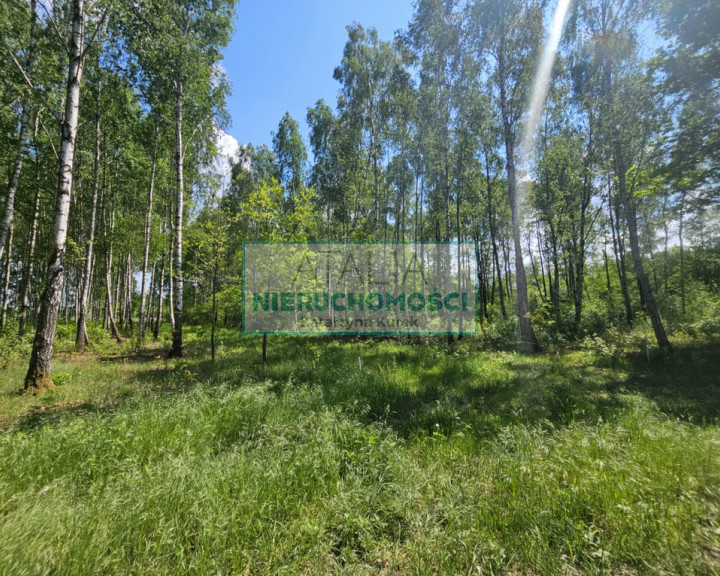 Działka Sprzedaż Grodzisk Mazowiecki