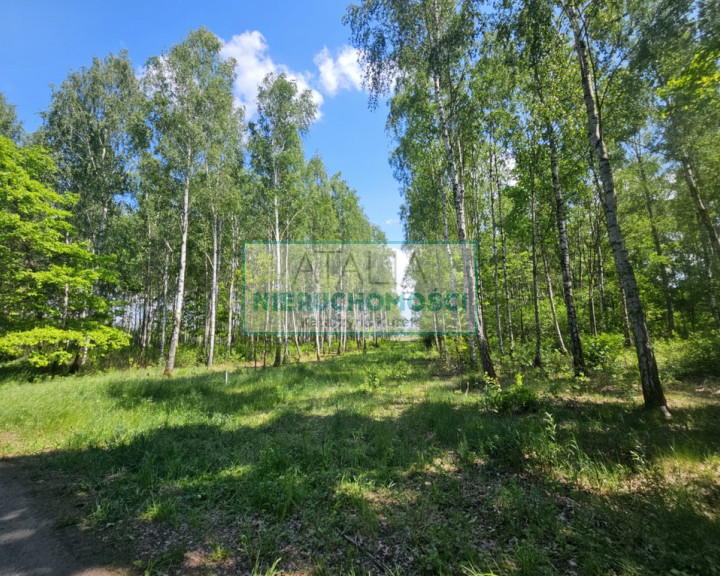 Działka Sprzedaż Grodzisk Mazowiecki