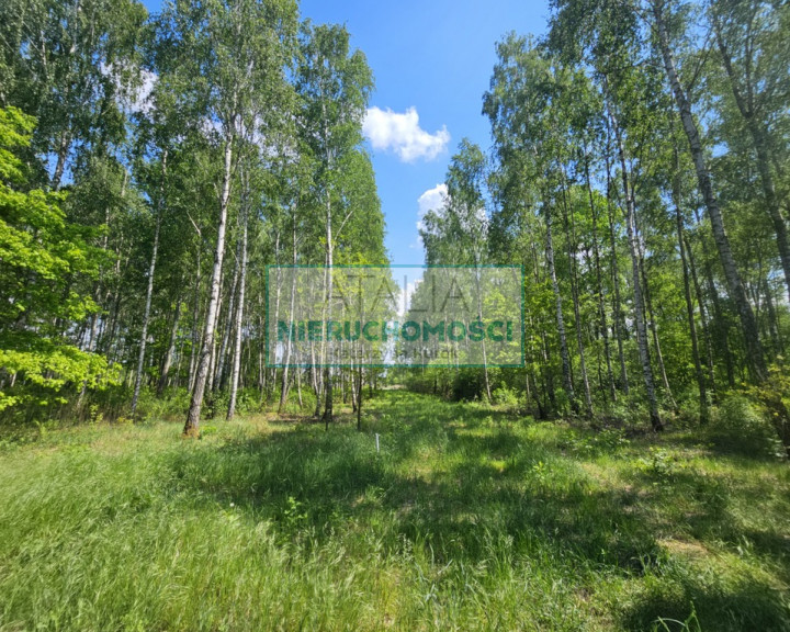 Działka Sprzedaż Grodzisk Mazowiecki