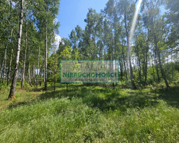 Działka Sprzedaż Grodzisk Mazowiecki