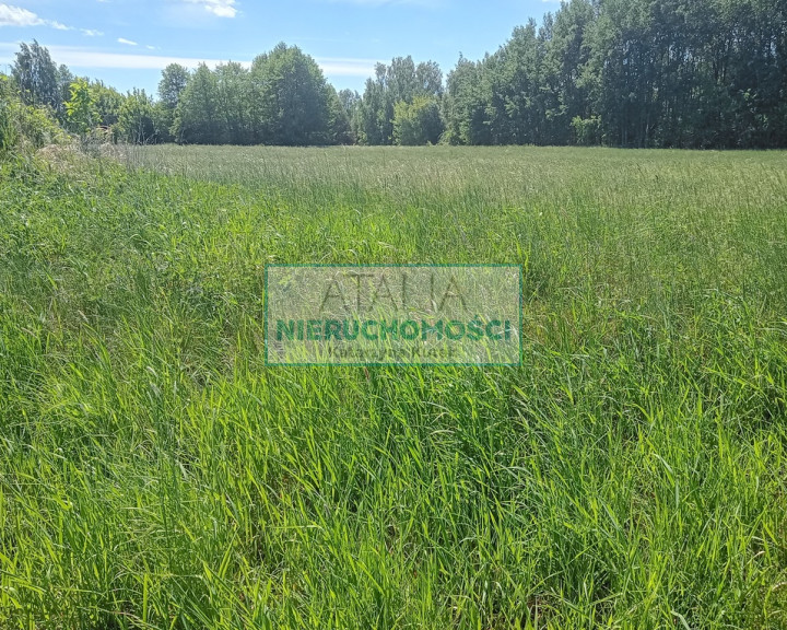 Działka Sprzedaż Kozery