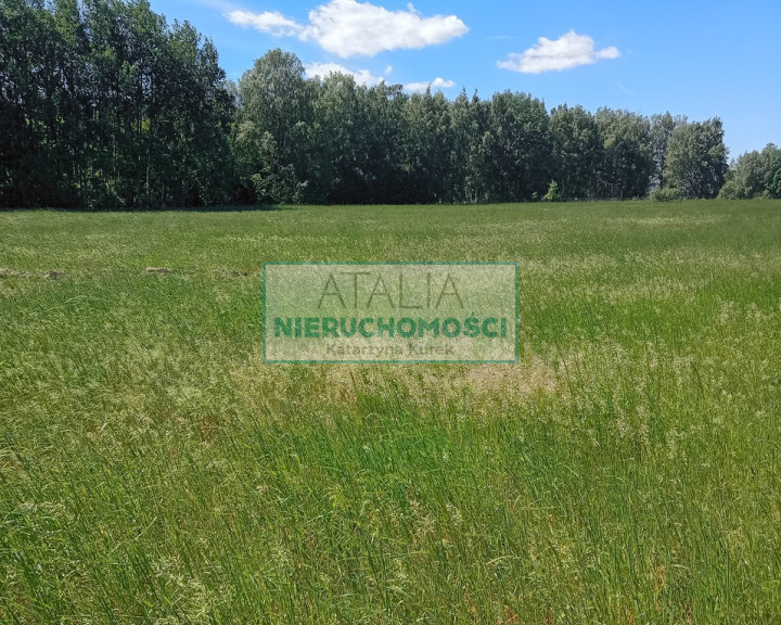 Działka Sprzedaż Kozery