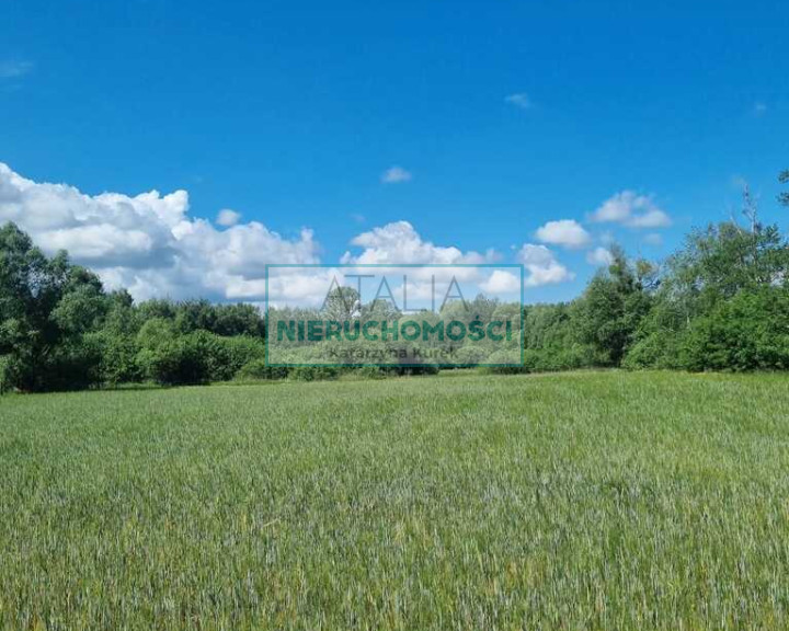 Działka Sprzedaż Jaktorów-Kolonia