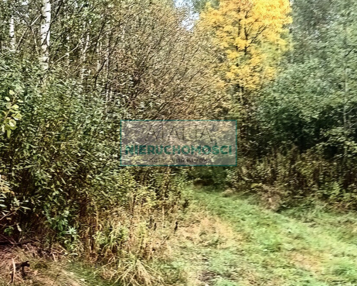 Działka Sprzedaż Ciepłe