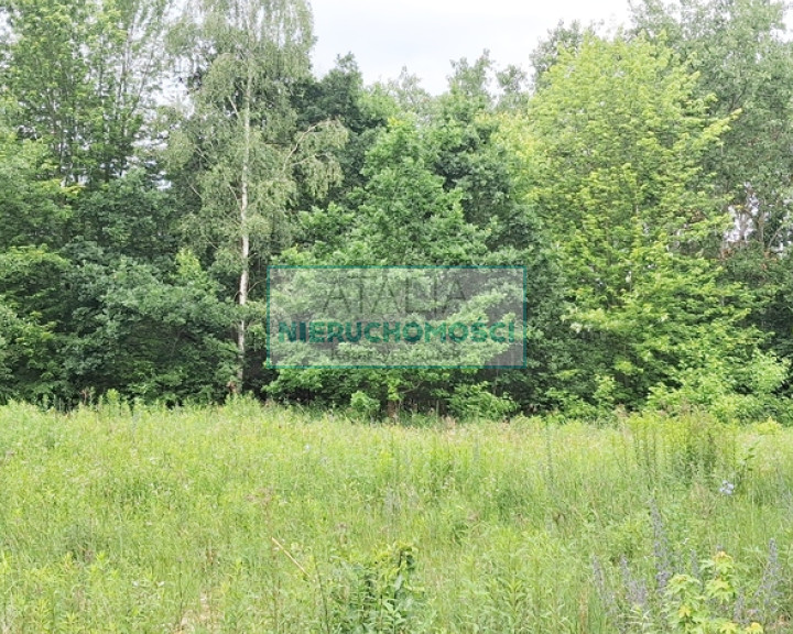 Działka Sprzedaż Rumianka