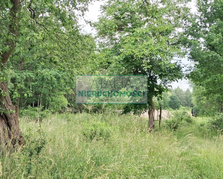 Działka Sprzedaż Rumianka