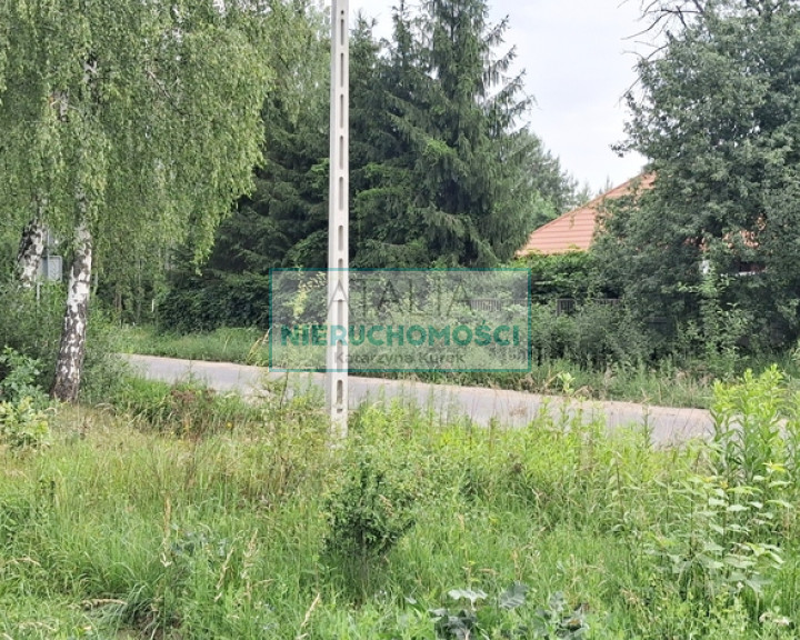 Działka Sprzedaż Rumianka