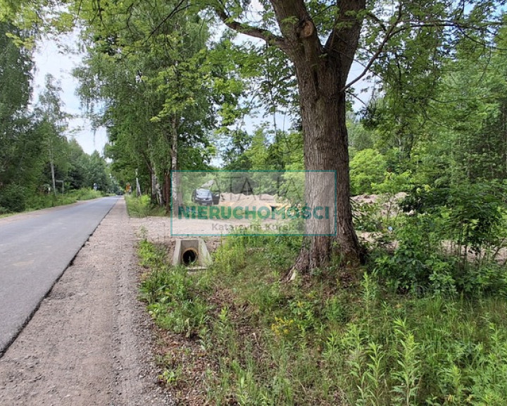 Działka Sprzedaż Rumianka