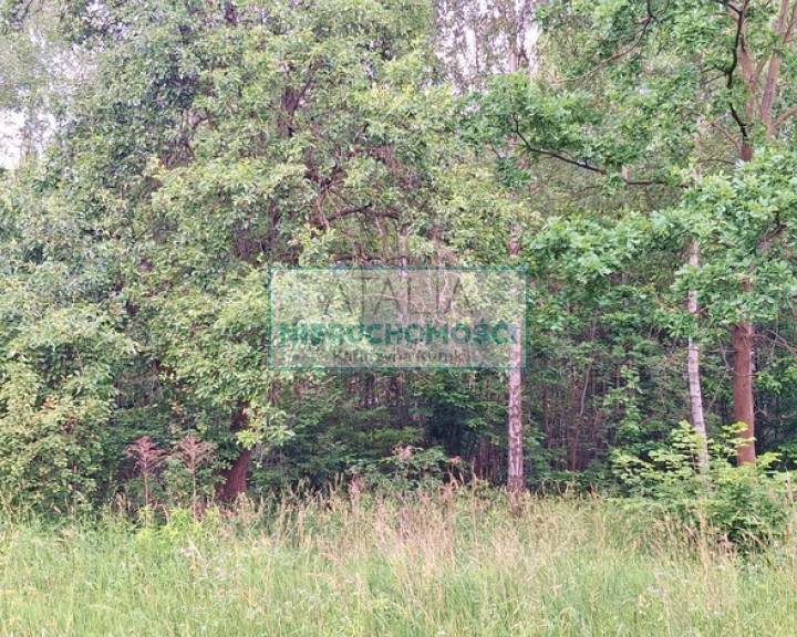 Działka Sprzedaż Rumianka