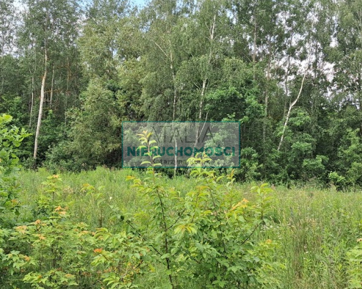 Działka Sprzedaż Rumianka