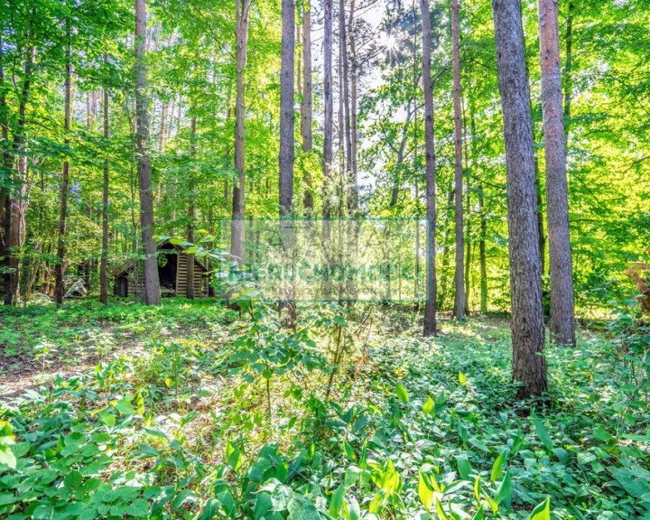 Działka Sprzedaż Adamów-Wieś