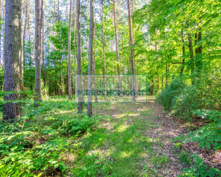 Działka Sprzedaż Adamów-Wieś