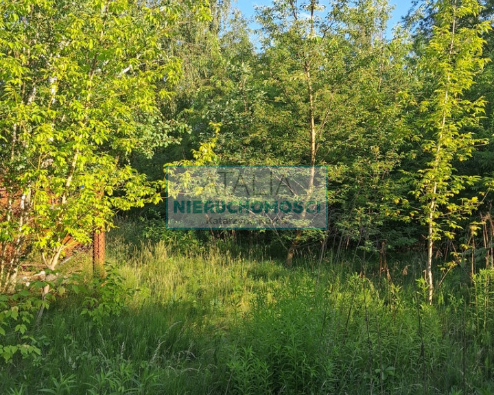 Działka Sprzedaż Kanie