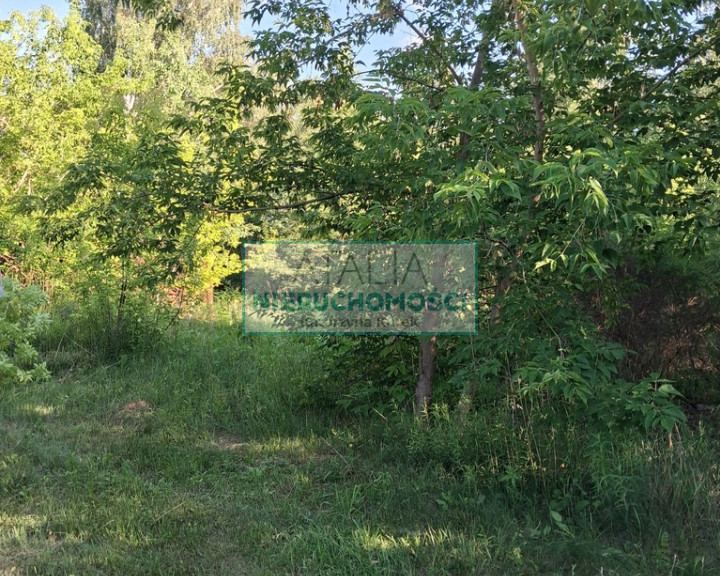 Działka Sprzedaż Kanie