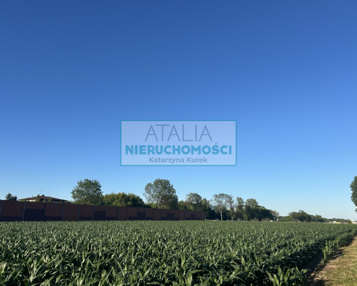 Działka Sprzedaż Sochaczew