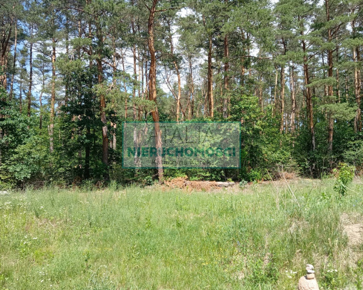 Działka Sprzedaż Żółwin
