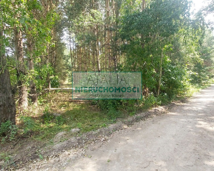 Działka Sprzedaż Korabiewice