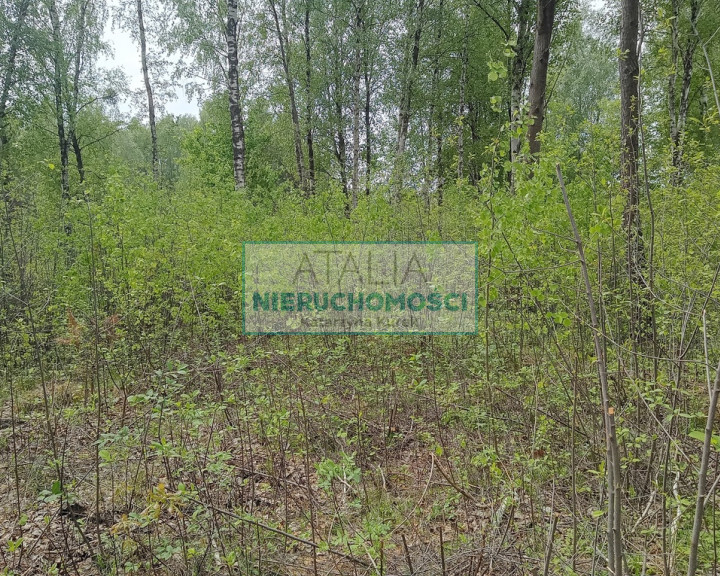 Działka Sprzedaż Mościska