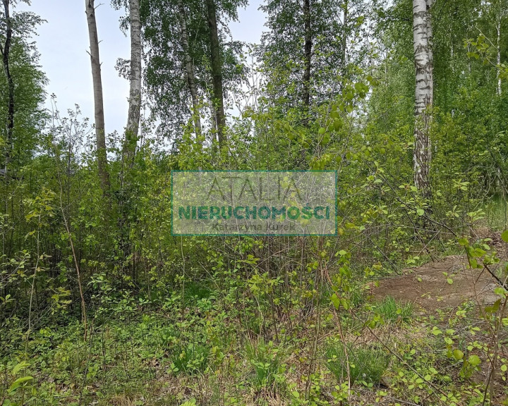 Działka Sprzedaż Mościska