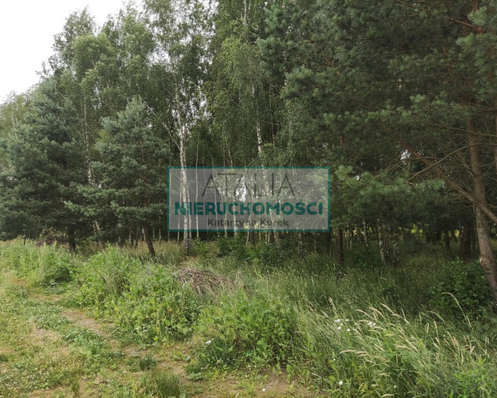 Działka Sprzedaż Żelechów