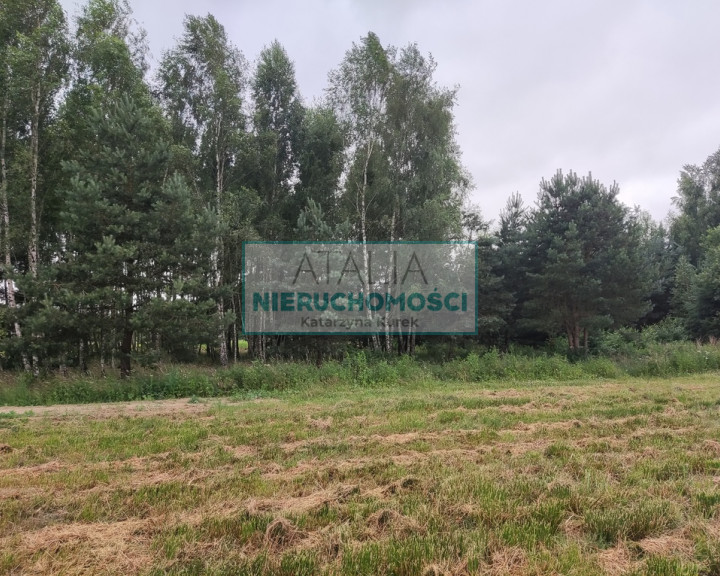 Działka Sprzedaż Żelechów