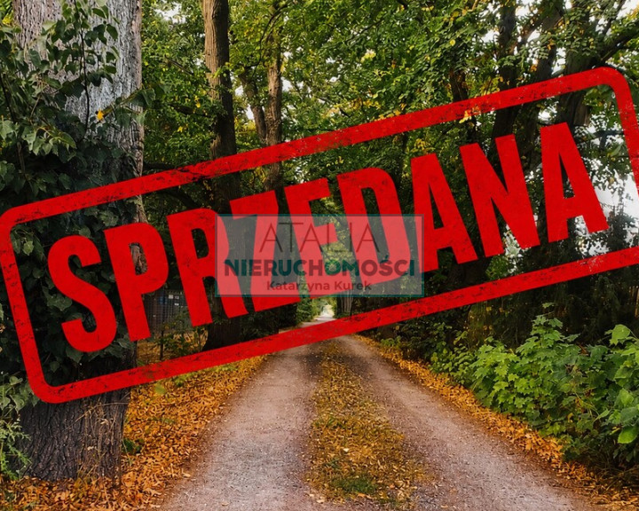 Działka Sprzedaż Adamowizna