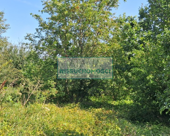 Działka Sprzedaż Brwinów