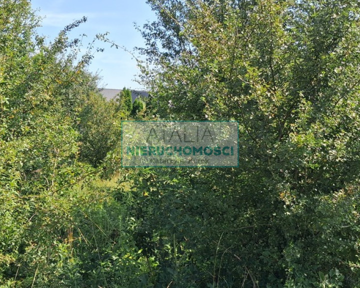 Działka Sprzedaż Brwinów