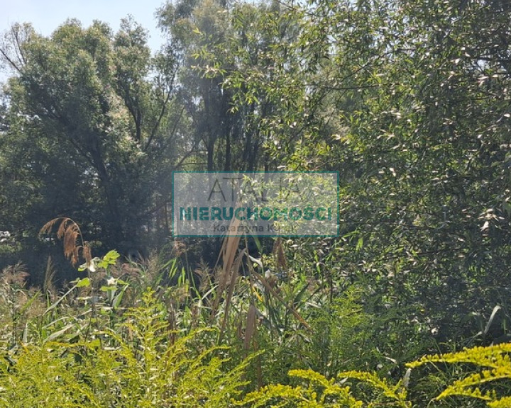 Działka Sprzedaż Kotowice