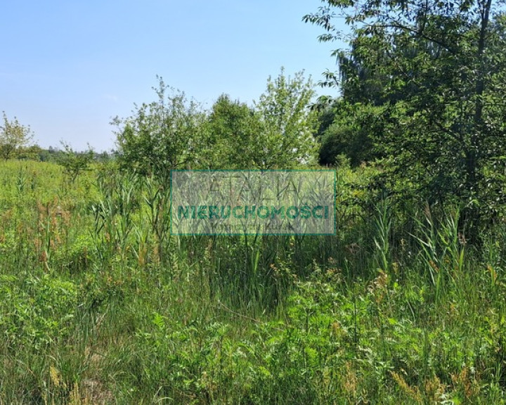Działka Sprzedaż Kotowice