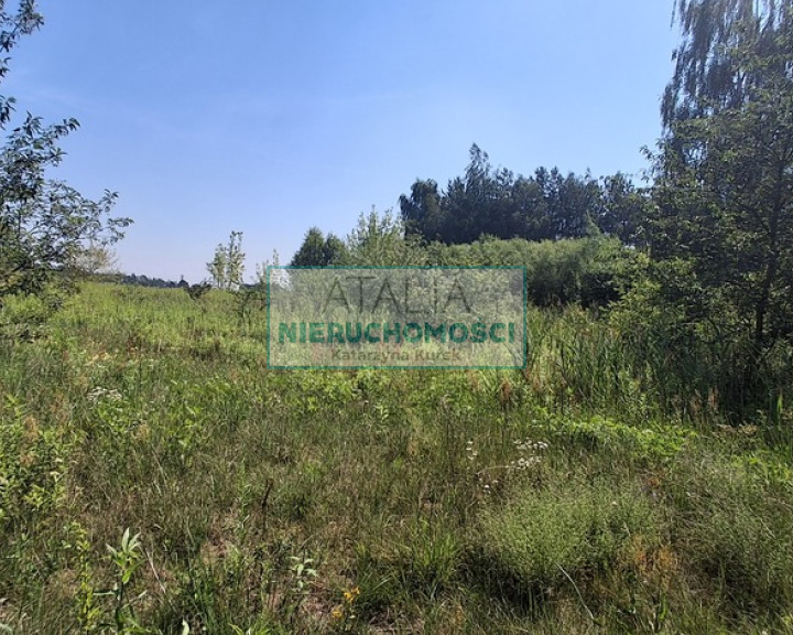 Działka Sprzedaż Kotowice