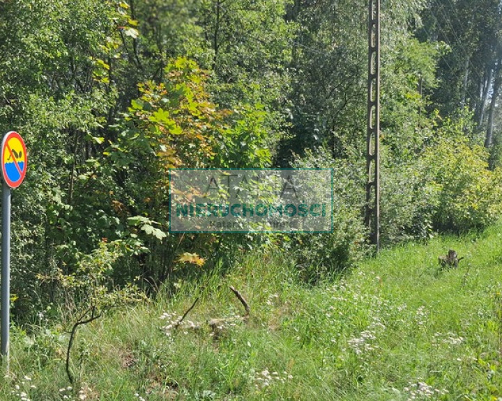 Działka Sprzedaż Kotowice