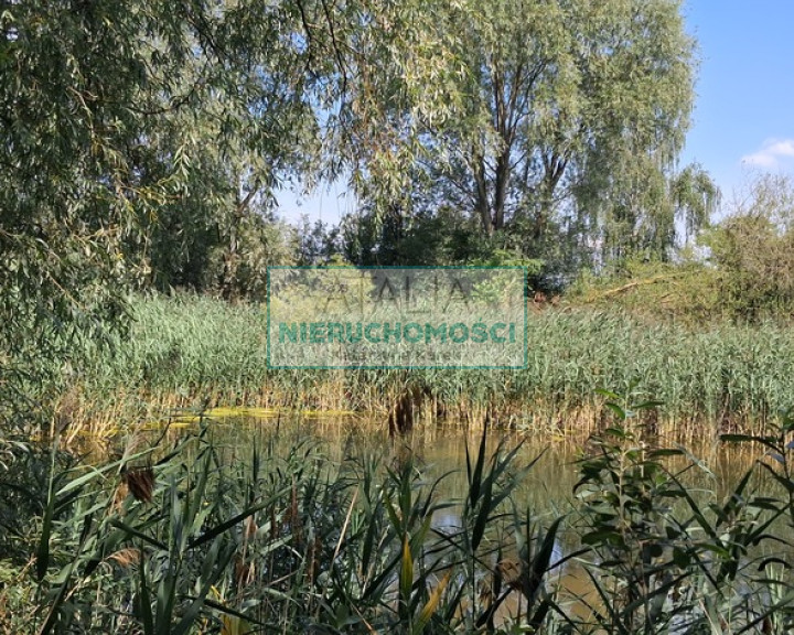 Działka Sprzedaż Kotowice