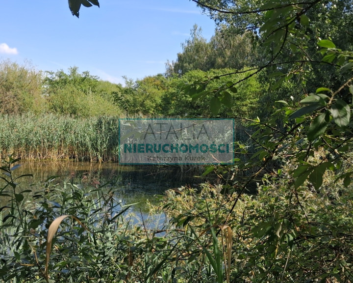 Działka Sprzedaż Kotowice