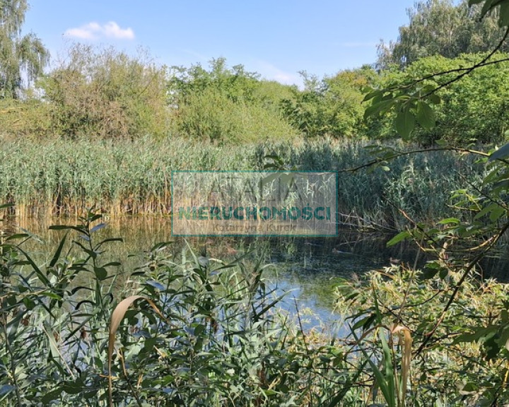 Działka Sprzedaż Kotowice
