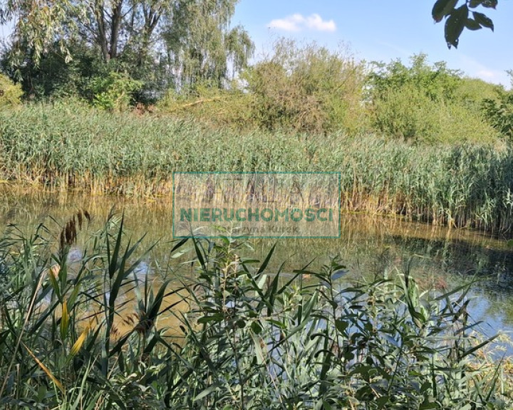 Działka Sprzedaż Kotowice