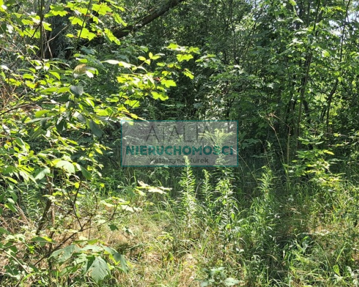 Działka Sprzedaż Kotowice