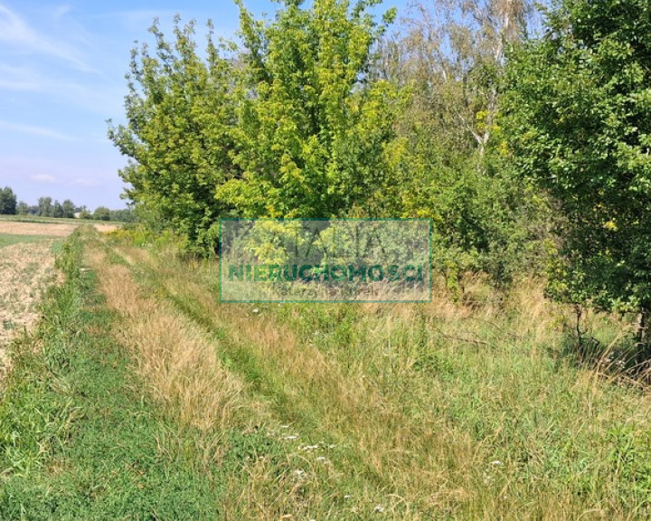 Działka Sprzedaż Kotowice