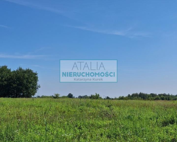 Działka Sprzedaż Kotowice