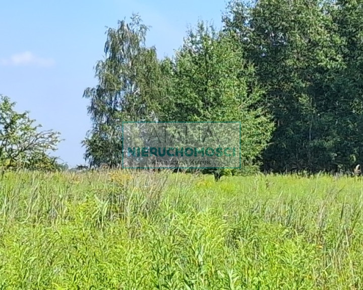 Działka Sprzedaż Kotowice