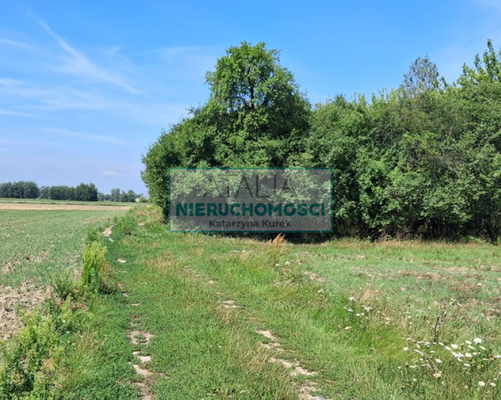 Działka Sprzedaż Kotowice