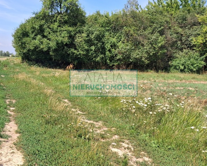 Działka Sprzedaż Kotowice