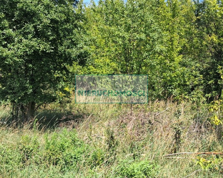 Działka Sprzedaż Kotowice