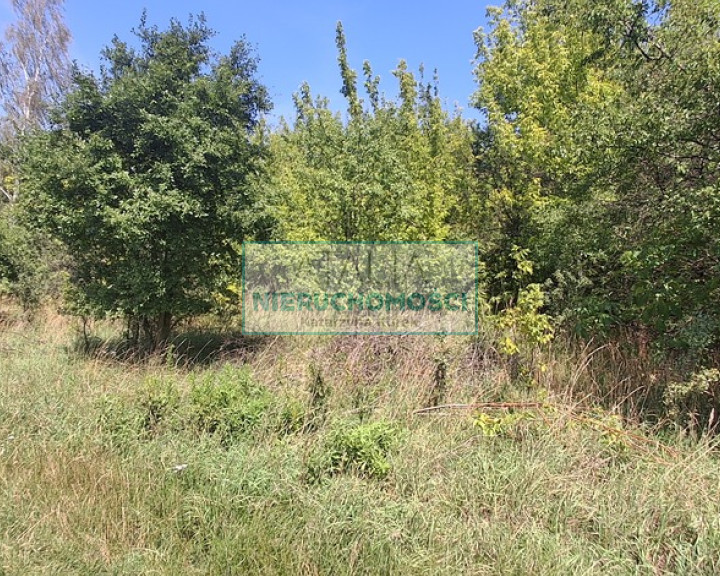 Działka Sprzedaż Kotowice