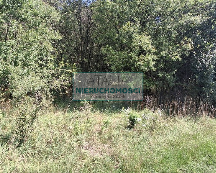 Działka Sprzedaż Kotowice
