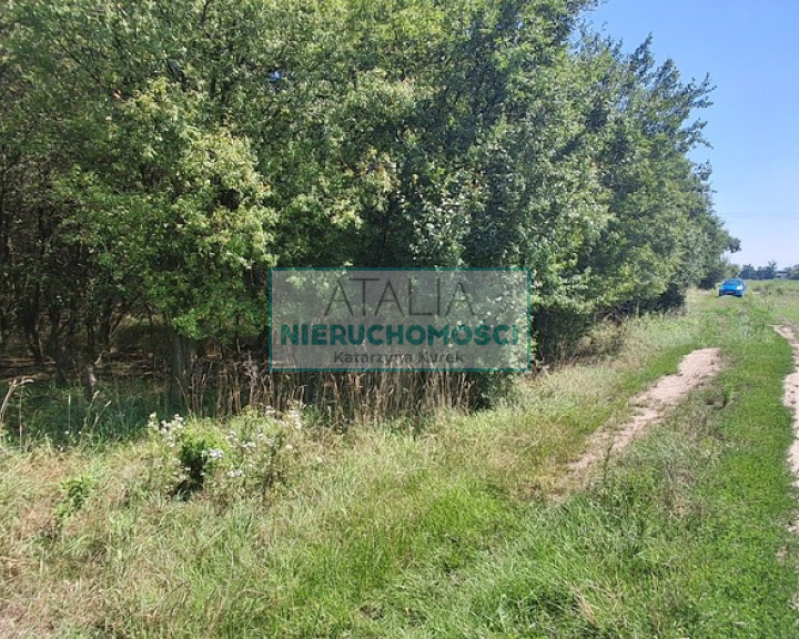 Działka Sprzedaż Kotowice
