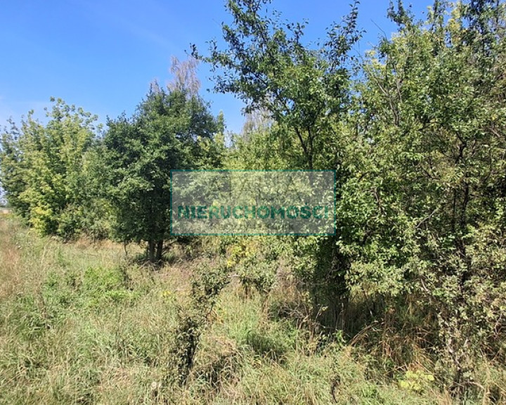 Działka Sprzedaż Kotowice
