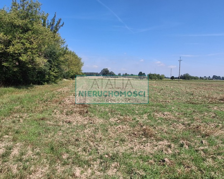 Działka Sprzedaż Kotowice