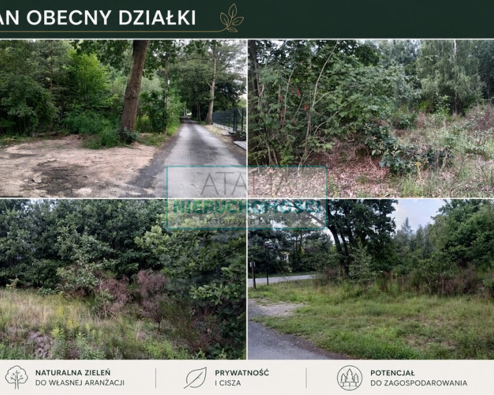 Działka Sprzedaż Owczarnia