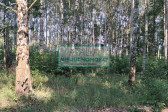 Działka Sprzedaż Jaktorów